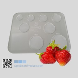 Calibrador de fresas y fruta pequeña – Diámetro 25 a 55 mm
