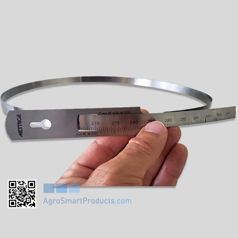 Metal Fruit Caliper 32 cm – High Precision 1 mm