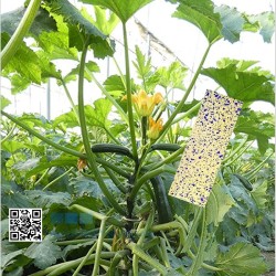 Hydrosensitive Paper | Spray Control Pack 50 Cards