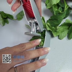 Meta-título: Prensa de Savia Profesional - Extracción para Análisis Fo