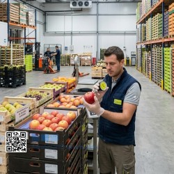 CALFRUT Max Kit - Qualitätskontrolle für Obst und Gemüse | Komplettes