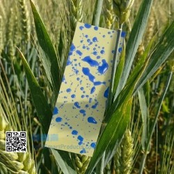 Hydrosensitives Papier | Sprühkontrolle 25 Karten