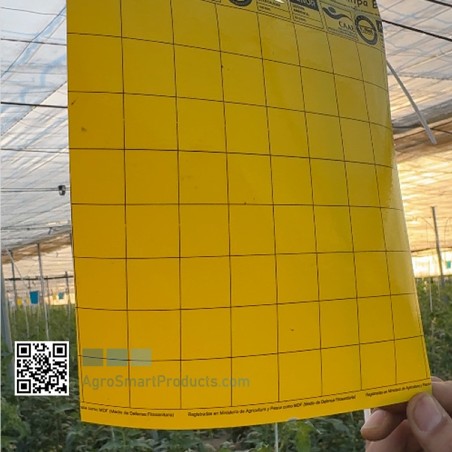 Trappole Gialle Adesive per Insetti | Trappole Cromatiche