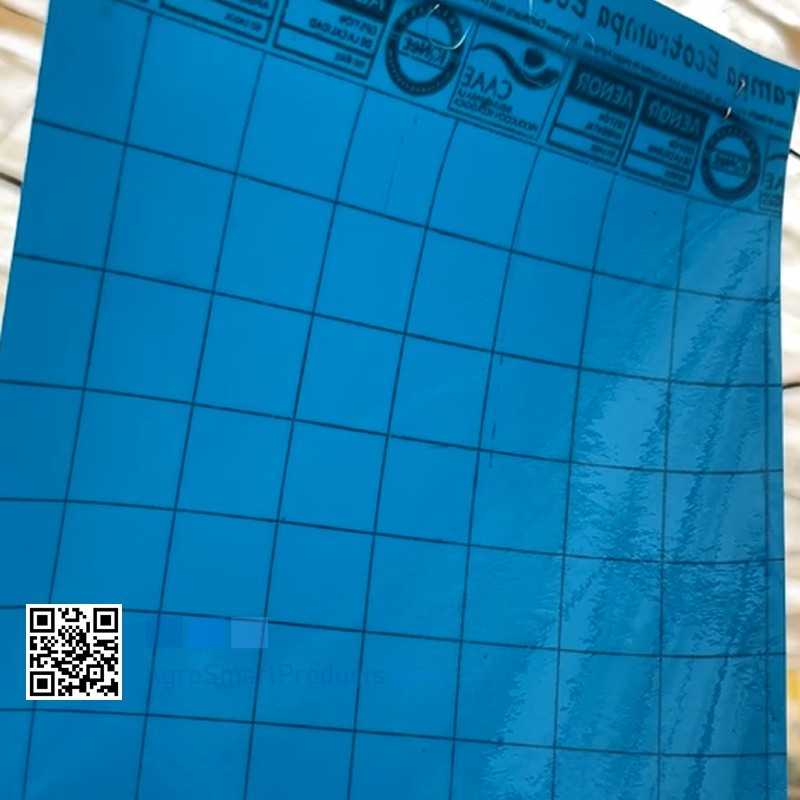 Trampas Cromáticas Azules para Trips | Placas 20x25 cm | Lote 20 Unida